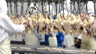 Zakon.kz, фото - Новости Zakon.kz от 03.12.2014 22:06