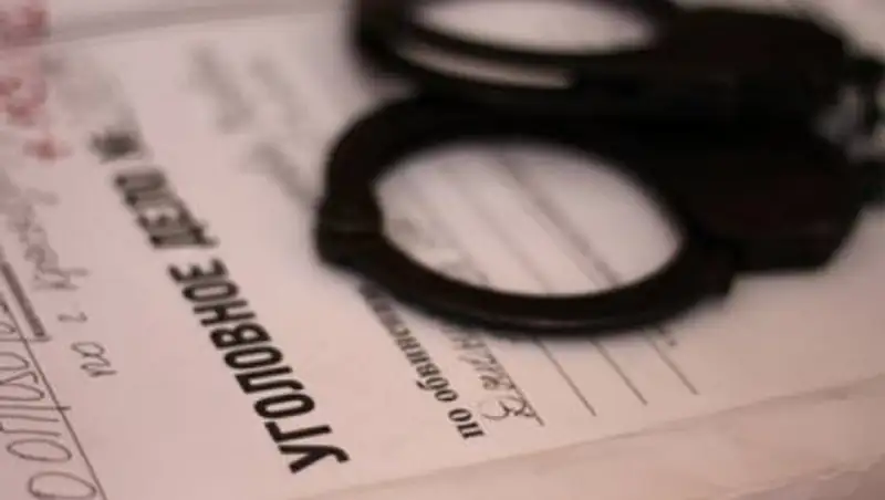 Била собаку топором по голове: полиция Алматинской области дала комментарий