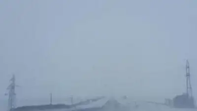 МИА «Казинформ», фото - Новости Zakon.kz от 15.01.2018 01:08