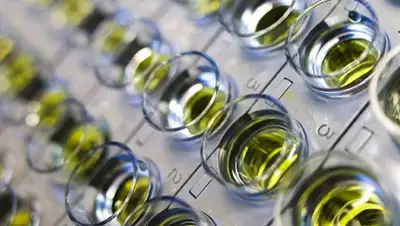 ixbt, фото - Новости Zakon.kz от 15.03.2020 15:08