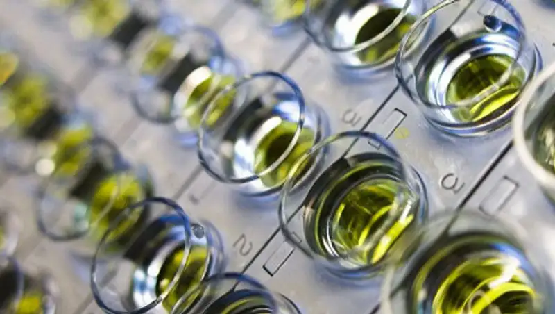 Создан новый тест на коронавирус, работающий в 10 раз быстрее существующих