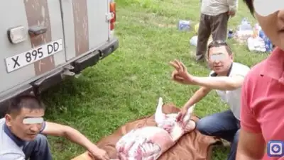 Zakon.kz, фото - Новости Zakon.kz от 28.08.2016 16:27