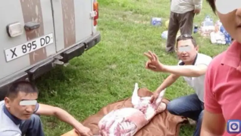 В ЮКО уволенных фельдшеров Сарыагашского района восстановили в должности