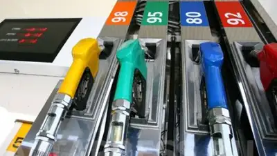 Zakon.kz, фото - Новости Zakon.kz от 08.02.2017 16:16