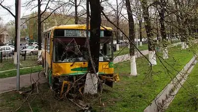 Zakon.kz, фото - Новости Zakon.kz от 25.04.2014 20:12