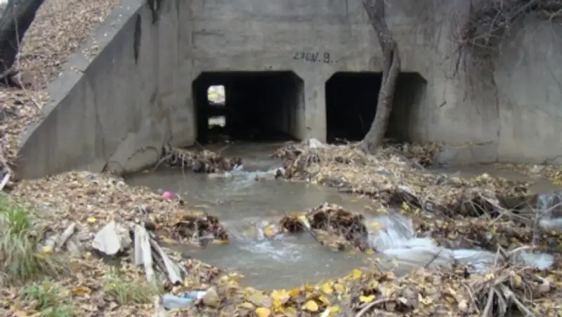 Есентай &#1257;зеніні&#1187; т&#1257;менгі са&#1171;асы &#1179;ат&#1179;ыл &#1179;алды&#1179;&#1179;а &#1179;а&#1179;алуда