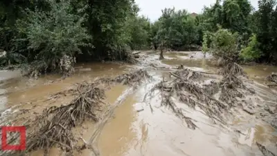 Zakon.kz, фото - Новости Zakon.kz от 10.08.2015 21:24