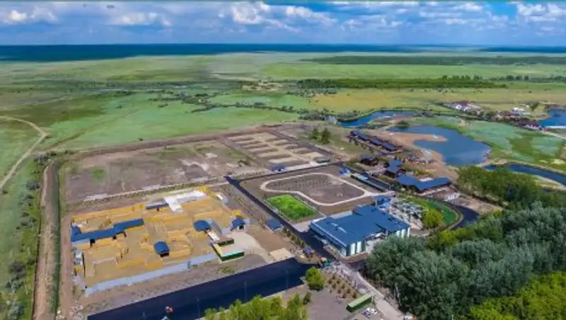 Блочедка попуга жатқан фото