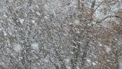 pxfuel.com, фото - Новости Zakon.kz от 20.10.2021 17:25