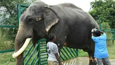 MIGnews, фото - Новости Zakon.kz от 21.11.2018 08:35