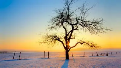 Zakon.kz, фото - Новости Zakon.kz от 29.11.2014 15:05