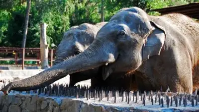 Zakon.kz, фото - Новости Zakon.kz от 27.05.2016 18:36