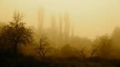 Zakon.kz, фото - Новости Zakon.kz от 15.11.2017 06:04