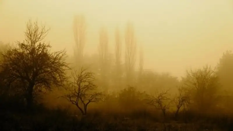 Туман и осадки ожидаются в большинстве регионов Казахстана