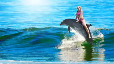 pixabay.com, фото - Новости Zakon.kz от 01.09.2019 10:02