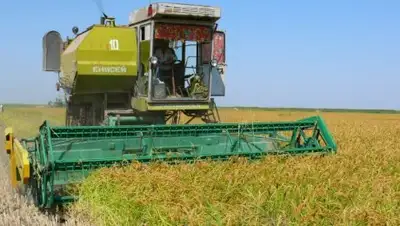 Zakon.kz, фото - Новости Zakon.kz от 04.10.2016 17:04