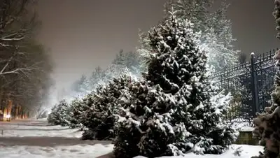 Zakon.kz, фото - Новости Zakon.kz от 02.11.2021 16:28