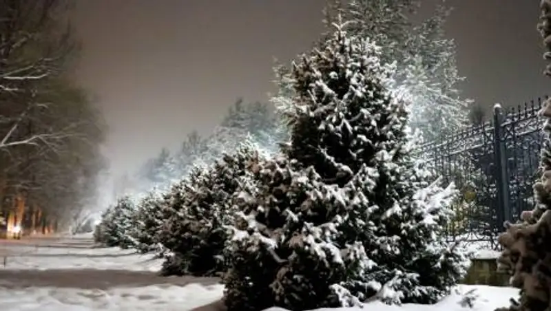 Сильный снег ожидается в Алматы