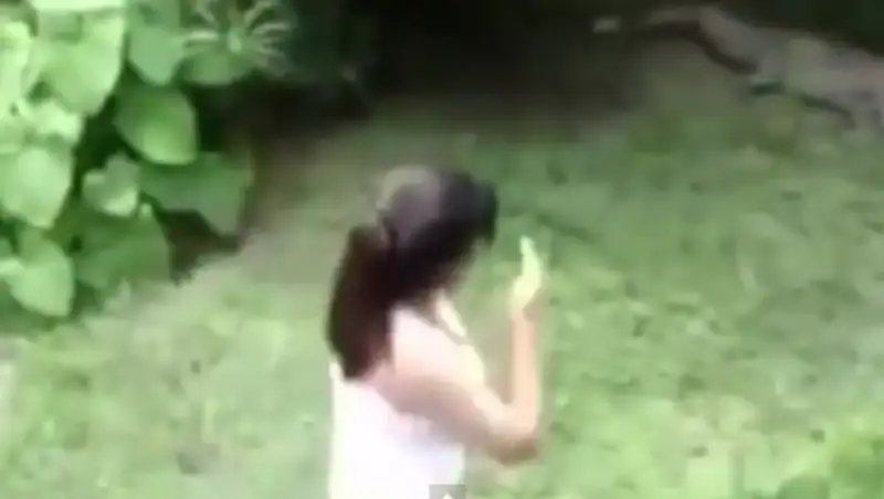 Посетительница зоопарка прыгнула в загон к крокодилам