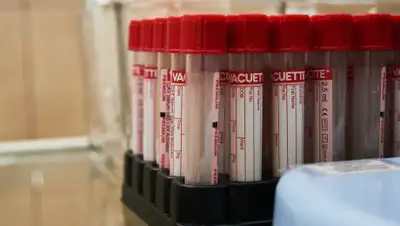 irk.ru, фото - Новости Zakon.kz от 23.06.2020 23:07