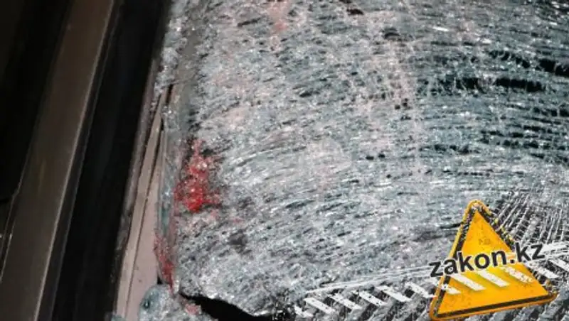 В Алматы насмерть сбили человека