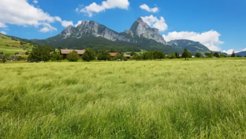 Чего ждать от погоды 31 июля в Казахстане