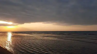 В Казахстане создадут институт по изучению Каспийского моря, фото - Новости Zakon.kz от 30.10.2023 10:55