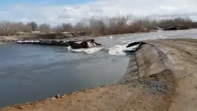 кадр из видео, фото - Новости Zakon.kz от 10.04.2018 13:07