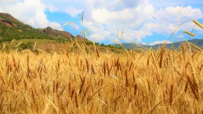 pixabay.com, фото - Новости Zakon.kz от 04.04.2019 13:10