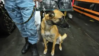 Zakon.kz, фото - Новости Zakon.kz от 05.09.2016 18:17