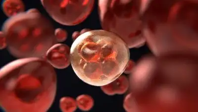 Pixabay, фото - Новости Zakon.kz от 09.01.2019 01:53