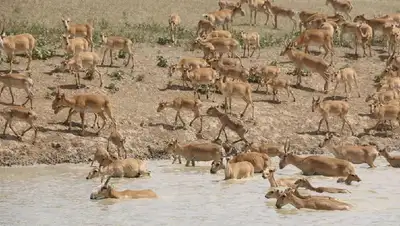 ущерб, выплаты, фото - Новости Zakon.kz от 02.12.2021 23:31