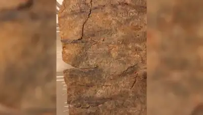 Российская газета, фото - Новости Zakon.kz от 07.10.2019 20:43