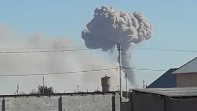 titus.kz, фото - Новости Zakon.kz от 24.06.2019 15:30