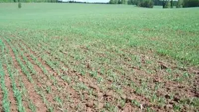 Zakon.kz, фото - Новости Zakon.kz от 01.06.2014 17:55