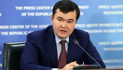 Фото: mid.gov.kz., фото - Новости Zakon.kz от 28.11.2017 11:46