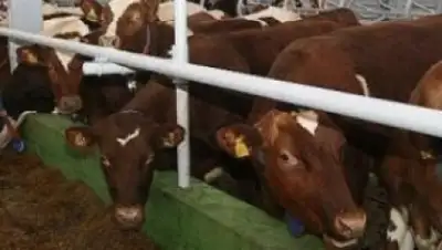 Zakon.kz, фото - Новости Zakon.kz от 01.09.2016 19:11