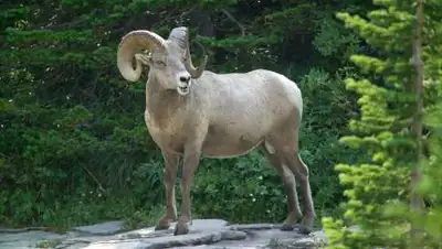 PxHere, фото - Новости Zakon.kz от 19.08.2021 20:13