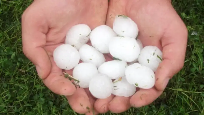 В некоторых регионах Казахстана может выпасть град