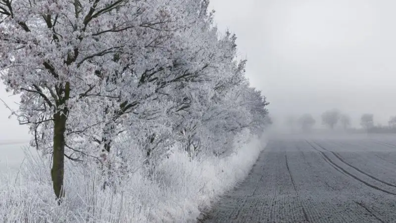 Метель и туман — прогноз погоды в Казахстане на 15 декабря