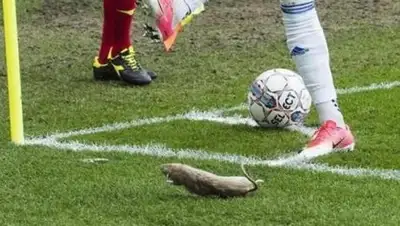 Zakon.kz, фото - Новости Zakon.kz от 18.04.2017 23:39