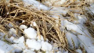 Zakon.kz, фото - Новости Zakon.kz от 21.10.2014 23:20