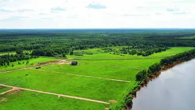 i.siteapi.org, фото - Новости Zakon.kz от 24.12.2020 10:35