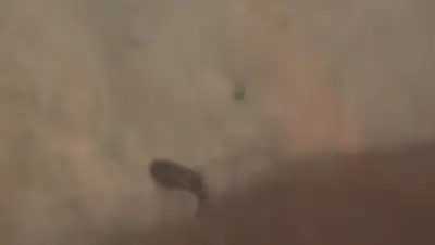 Скриншот с видео, фото - Новости Zakon.kz от 14.04.2018 01:24