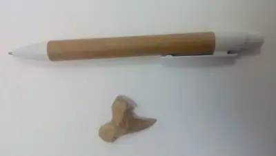 Zakon.kz, фото - Новости Zakon.kz от 12.02.2015 19:01