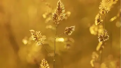 штормовое предупреждение в областях, фото - Новости Zakon.kz от 15.07.2022 22:22