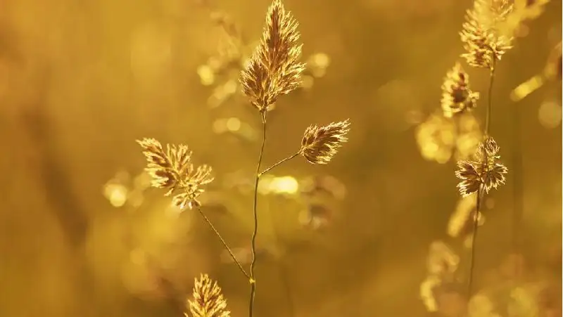 На выходные в 6 регионах Казахстана объявлено штормовое предупреждение