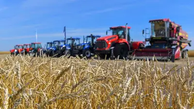 Казахстан Костанайская область, фото - Новости Zakon.kz от 14.09.2023 14:44