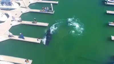 Zakon.kz, фото - Новости Zakon.kz от 23.05.2017 01:09