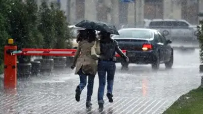 Zakon.kz, фото - Новости Zakon.kz от 01.06.2016 13:21